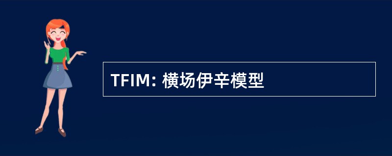 TFIM: 横场伊辛模型