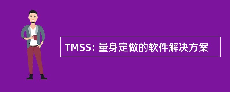 TMSS: 量身定做的软件解决方案