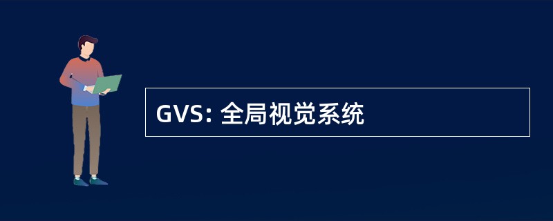 GVS: 全局视觉系统