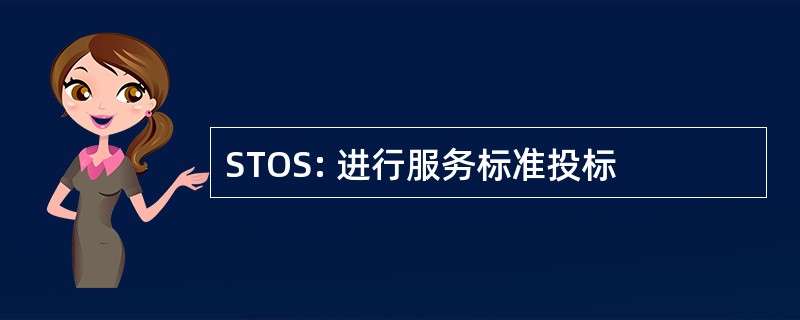 STOS: 进行服务标准投标