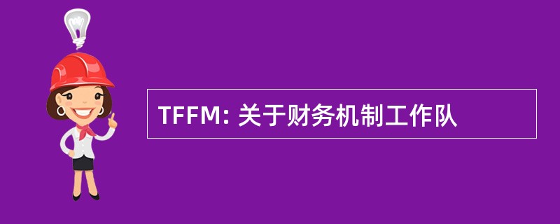 TFFM: 关于财务机制工作队