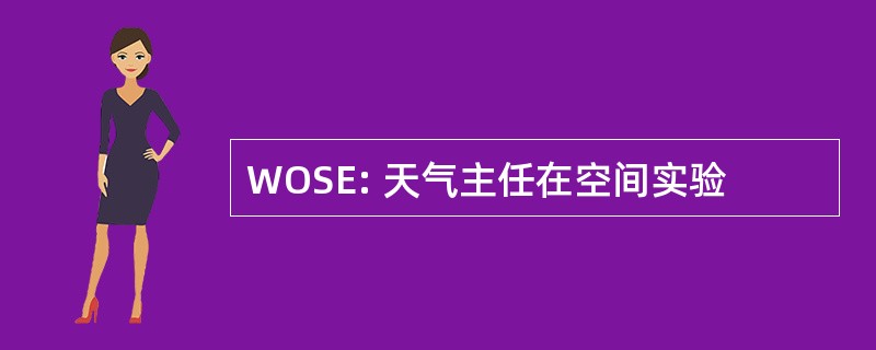 WOSE: 天气主任在空间实验