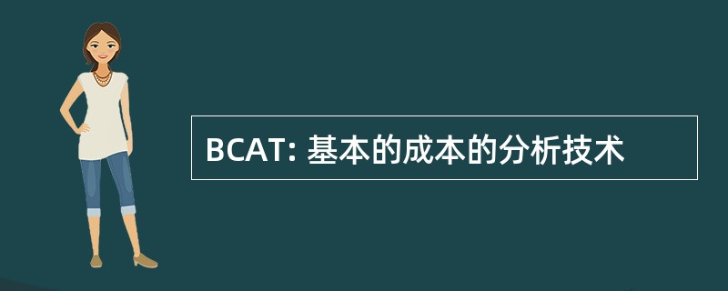 BCAT: 基本的成本的分析技术