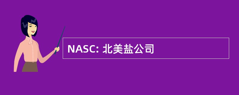 NASC: 北美盐公司