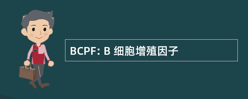 BCPF: B 细胞增殖因子