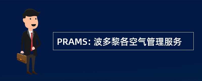 PRAMS: 波多黎各空气管理服务