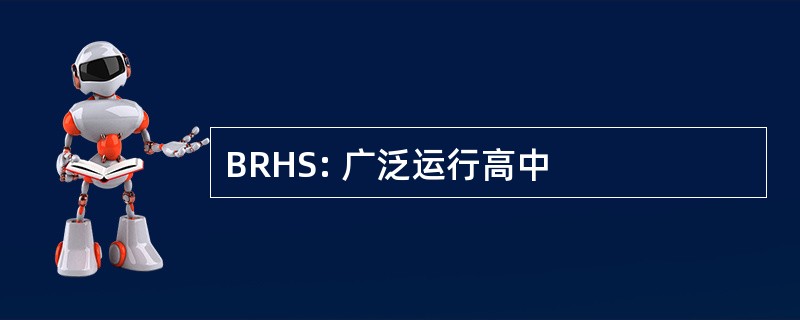 BRHS: 广泛运行高中