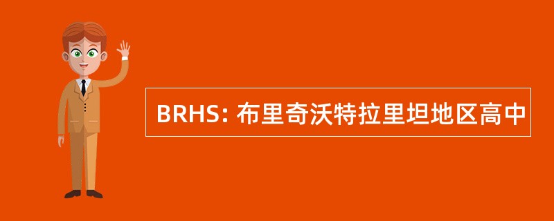 BRHS: 布里奇沃特拉里坦地区高中