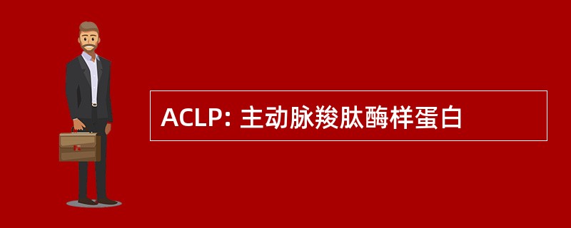 ACLP: 主动脉羧肽酶样蛋白