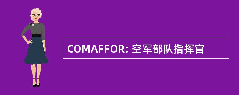 COMAFFOR: 空军部队指挥官