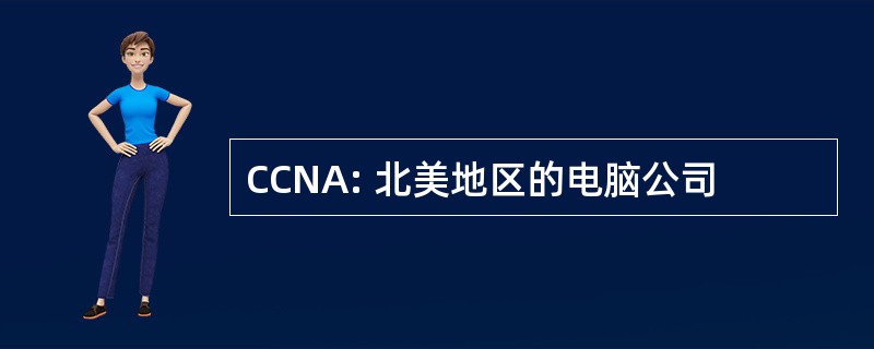 CCNA: 北美地区的电脑公司