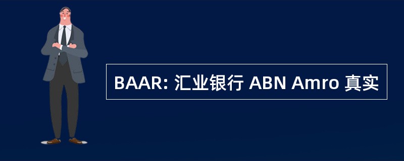 BAAR: 汇业银行 ABN Amro 真实