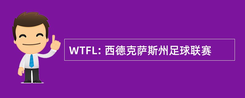 WTFL: 西德克萨斯州足球联赛