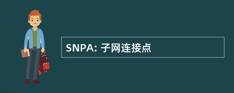 SNPA: 子网连接点