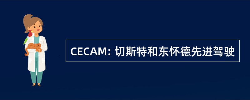 CECAM: 切斯特和东怀德先进驾驶