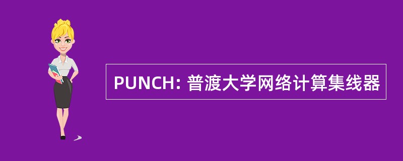 PUNCH: 普渡大学网络计算集线器