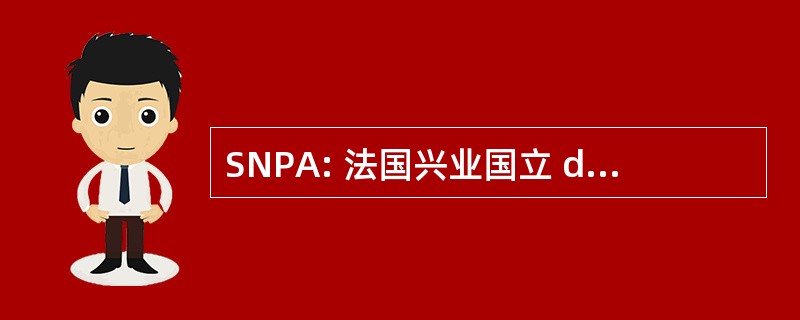 SNPA: 法国兴业国立 des Pétroles d&#039;Aquitaine