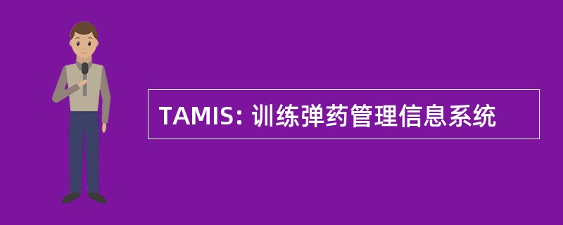 TAMIS: 训练弹药管理信息系统