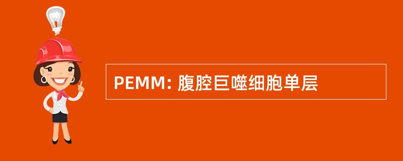 PEMM: 腹腔巨噬细胞单层