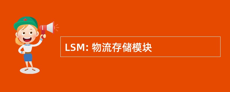 LSM: 物流存储模块