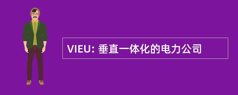 VIEU: 垂直一体化的电力公司