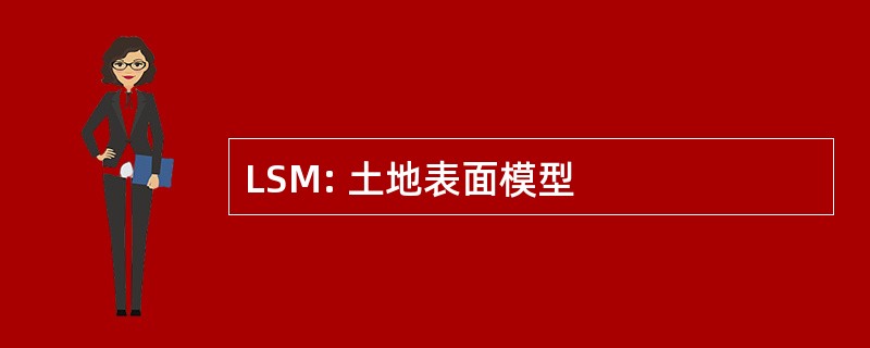 LSM: 土地表面模型