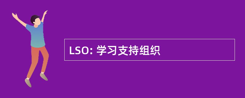 LSO: 学习支持组织