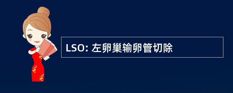 LSO: 左卵巢输卵管切除