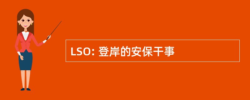 LSO: 登岸的安保干事