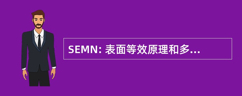 SEMN: 表面等效原理和多个网络理论