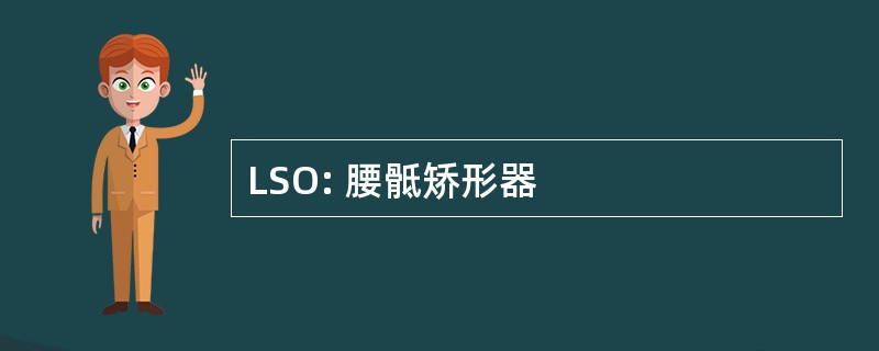 LSO: 腰骶矫形器