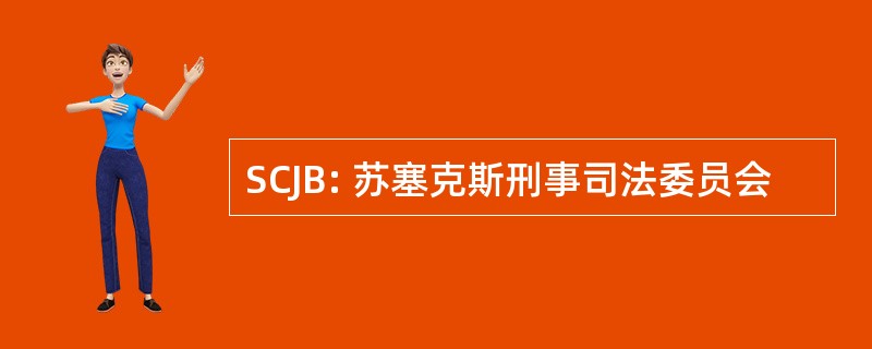 SCJB: 苏塞克斯刑事司法委员会