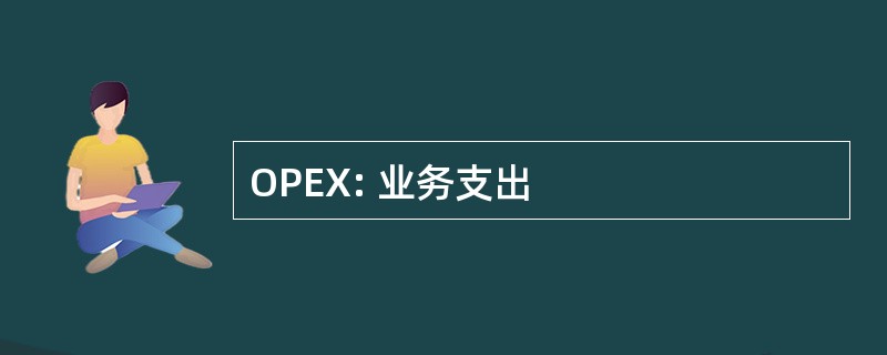 OPEX: 业务支出