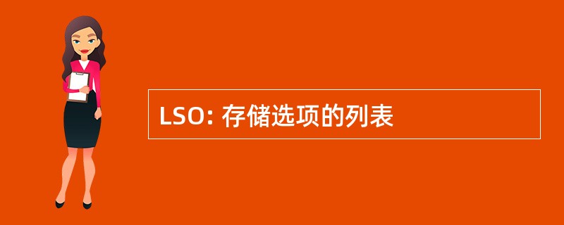 LSO: 存储选项的列表