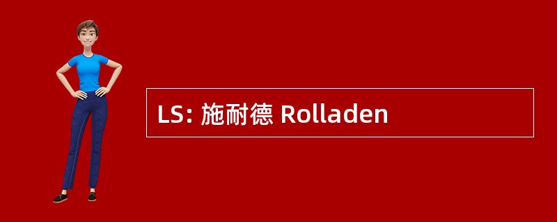 LS: 施耐德 Rolladen