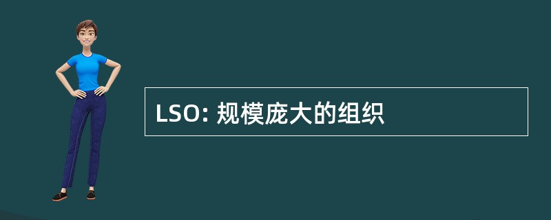 LSO: 规模庞大的组织