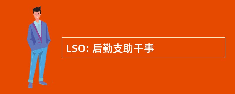 LSO: 后勤支助干事