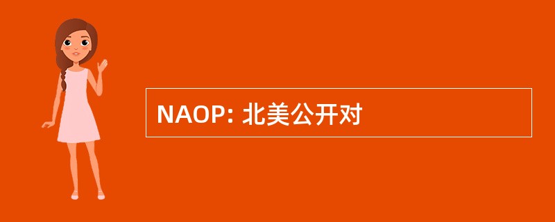 NAOP: 北美公开对