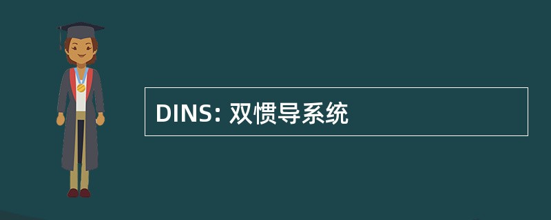 DINS: 双惯导系统