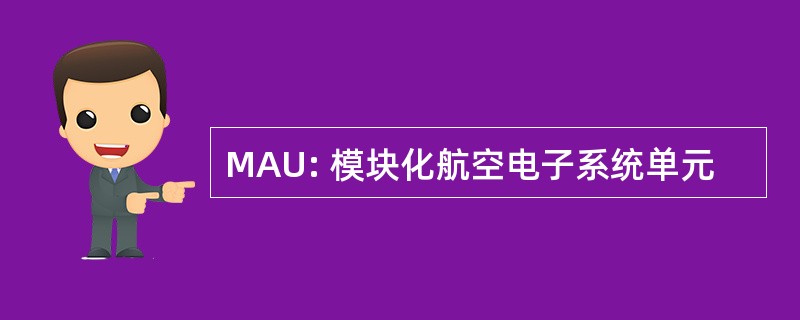 MAU: 模块化航空电子系统单元