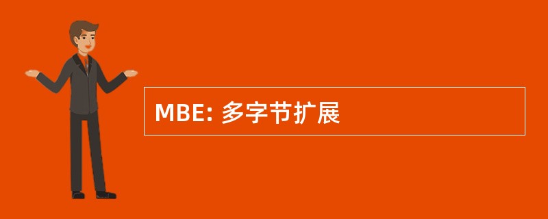 MBE: 多字节扩展