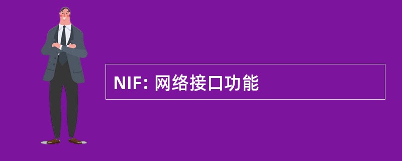 NIF: 网络接口功能