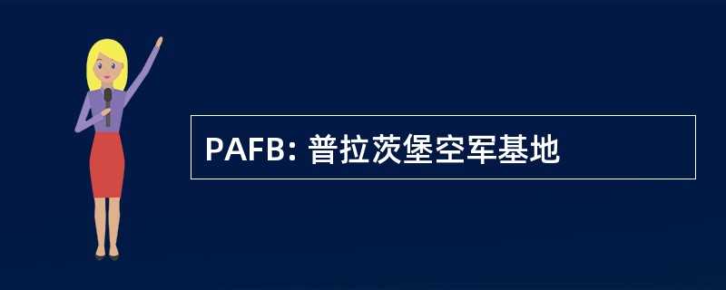 PAFB: 普拉茨堡空军基地