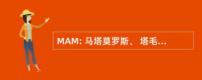 MAM: 马塔莫罗斯、 塔毛利帕斯州，墨西哥-塞尔万多 Canales