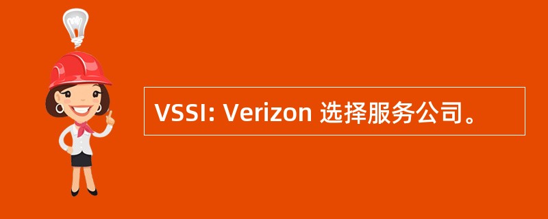 VSSI: Verizon 选择服务公司。