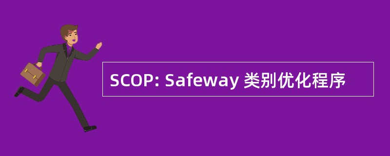 SCOP: Safeway 类别优化程序