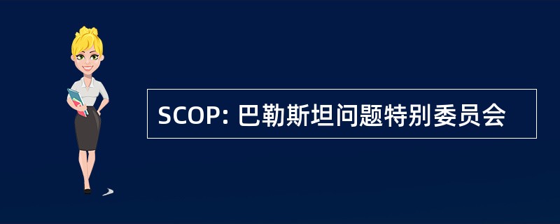 SCOP: 巴勒斯坦问题特别委员会