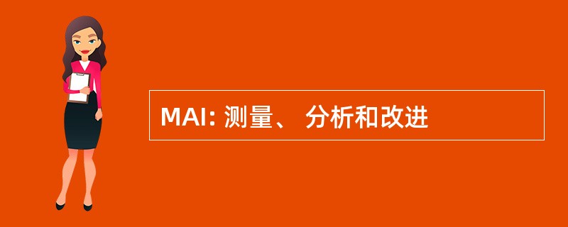 MAI: 测量、 分析和改进