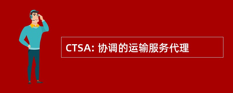 CTSA: 协调的运输服务代理