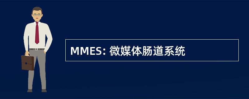 MMES: 微媒体肠道系统